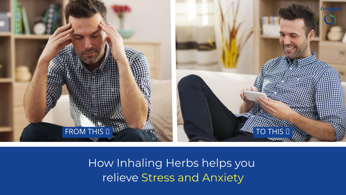 How the Herbs Aroma Can Help with Stress and Anxiety