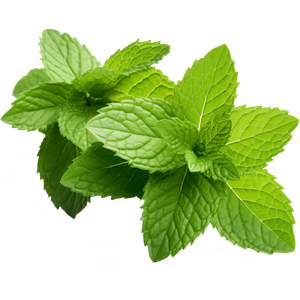 Mint